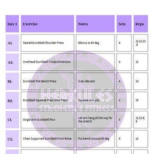 Beginner Workout Program