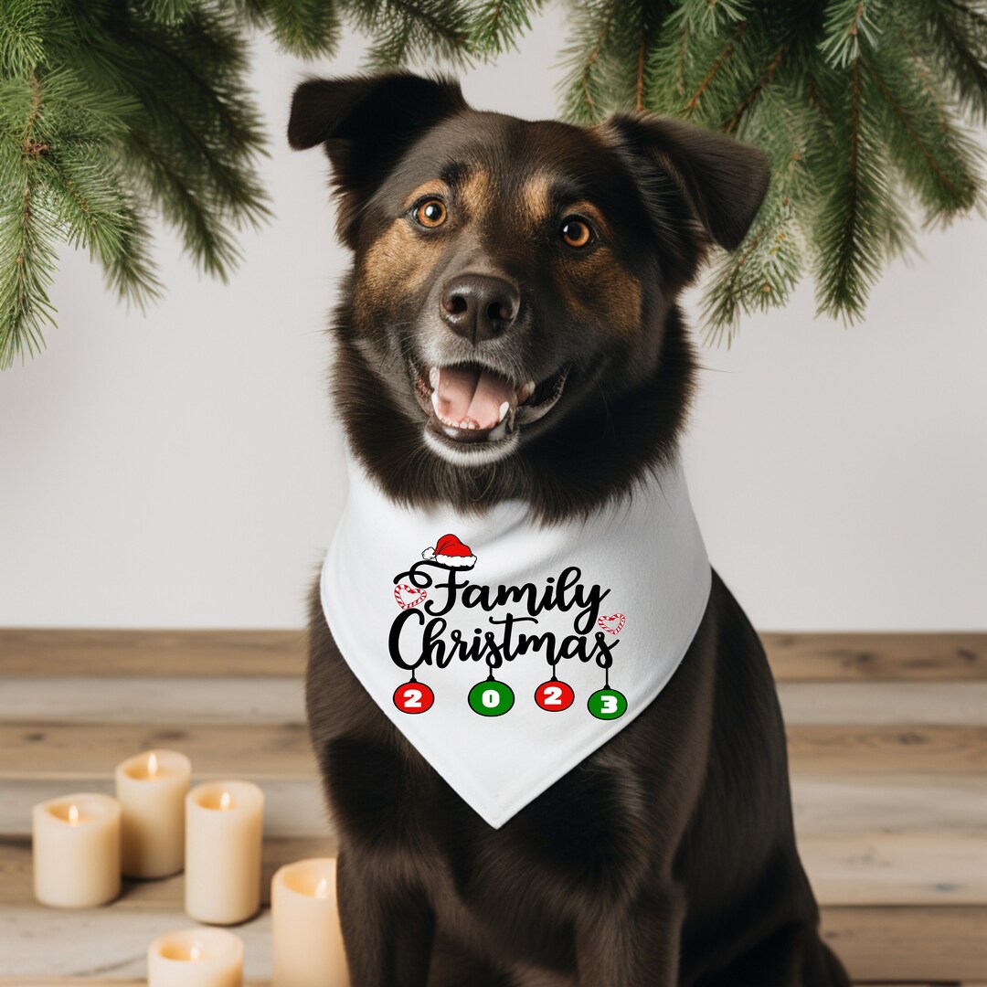 Christmas Dog Bandana, Holiday Red and White Personalized 2023 Family