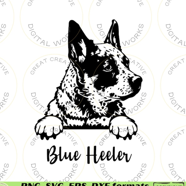 Blue heeler peeking svg, cattle dog peeking svg, cattle dog, heeler peeking svg, heeler png, australian dog peeking svg, cattle dog png