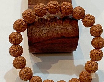 天然11面天然ルドラークシャ 100%オリジナル、活性化、認定済み - Etsy