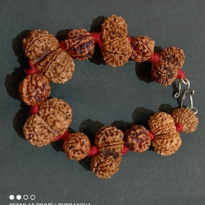 1 ～ 14 ムキ、ガネーシャ、ガウリ シャンカール ルドラクシャ