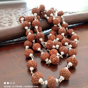 8 Mukhi Rudraksha Mala / Eight Face Rudraksh Rosary Java 12-14 MM 54+1 55 white metal capping Rudraksha bead Mala