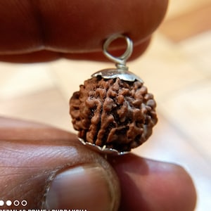 2 Mukhi nepali Rudraksha Bead -Lab Certified  Cord, Spiritual Gifts, Two Faced Rudraksha Seed