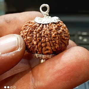 13 Mukhi Rudraksha Nepali Lab Certified