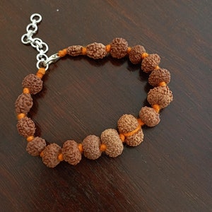 Rudraksha Seed Bracelet: 1-14 Mukhi, Indonesian Java, Certified