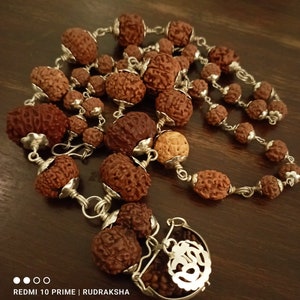 Siddha Mala 1 - 14 Mukhi , Gauri Shankar , Ganesh Rudraksha Rudraksh in Silver Lab Certified
