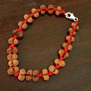 1 ～ 14 ムキ、ガネーシャ、ガウリ シャンカール ルドラクシャ