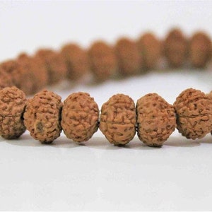 Nine Mukhi Bracelet -Lab Certified, 9 Mukhi Rudraksha Bracelet, Shiva Bracelet, Yoga Bracelet, Nine Faced Rudraksha Bracelet
