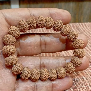 Seven Mukhi Bracelet -Lab Certified, 7 Mukhi Rudraksha Bracelet, Shiva Bracelet, Yoga Bracelet, Seven Faced Rudraksha Bracelet