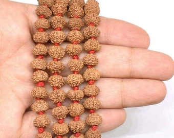9ムキ(面)ルドラクシャ10mm1連Rudraksha(M) 9ムキ(面)ルドラクシャ10mm1連Rudraksha(M) - メルカリ