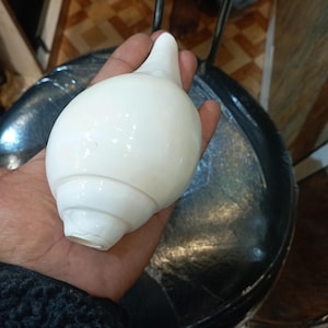 puja Conch Shell, you have to blow into this shell, it makes a wonderful sound! Hare Krishna puja, hand made, Spiritual things 8.inchs
