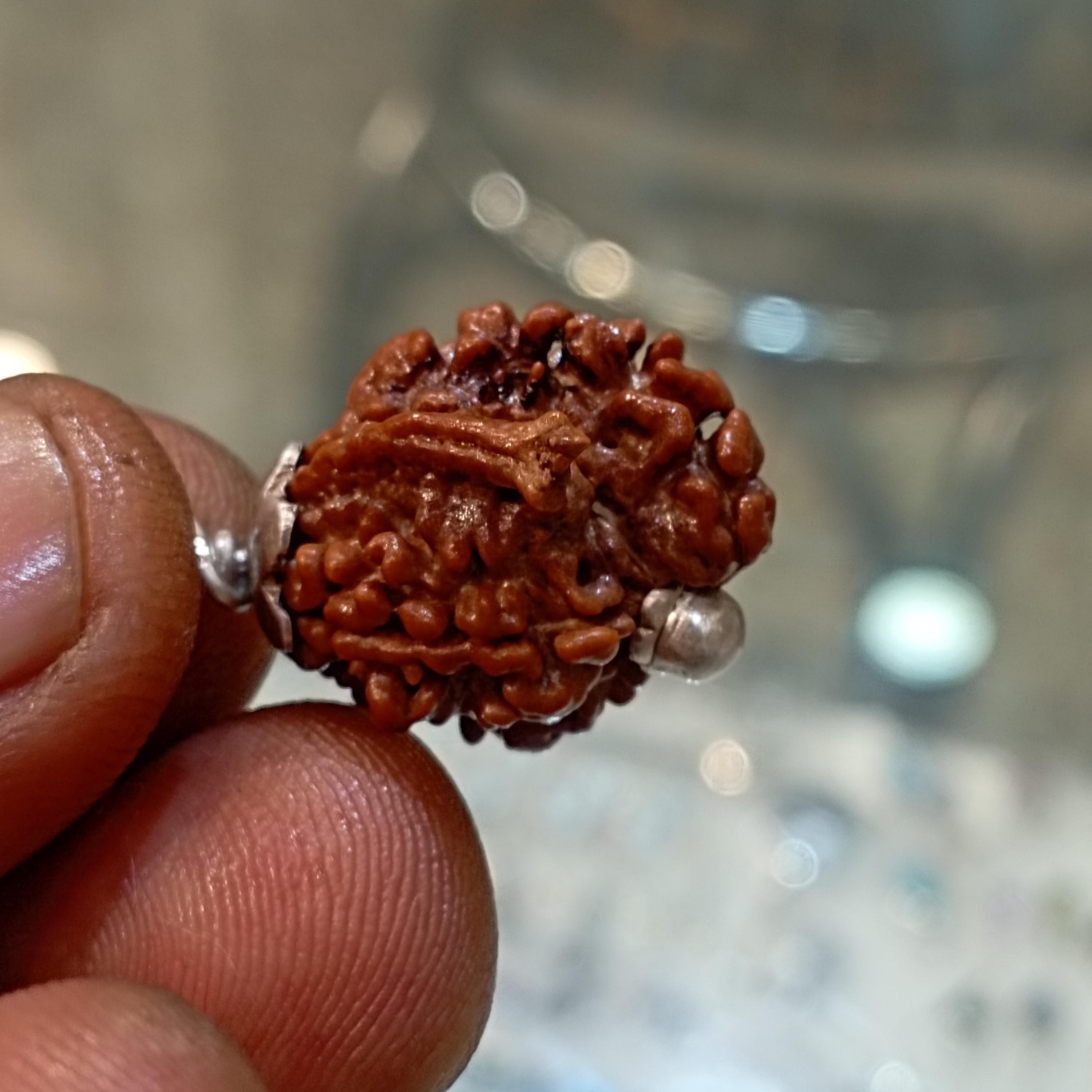 レア 1 ムキ ナーグ シャヴァール ルドラクシャ ダブル ガネーシャ付き