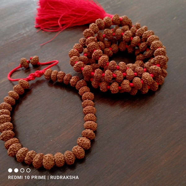 8 Mukhi Rudraksha Mala & armband, 108+1 Echte Acht gezicht Rudraksha kralen, Rudraksha Tassel Mala, Beautiful.Natural kralen Japa Mala Yoga