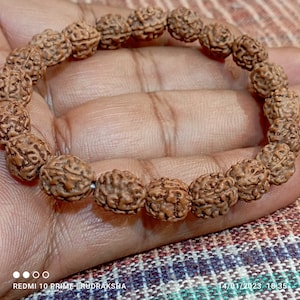 Four Mukhi Bracelet-Lab Certified, 4 Mukhi Rudraksha Bracelet, Shiva Bracelet, Yoga Bracelet, Four Faced Rudraksha Bracelet
