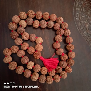 Nepali 5 Mukhi Rudraksha Kantha 54 Beads Mala Necklace,Very Large size 25.MM Rudraksha  Rudraksh Kantha Mala, Prayer Mala, Spiritual Gifts