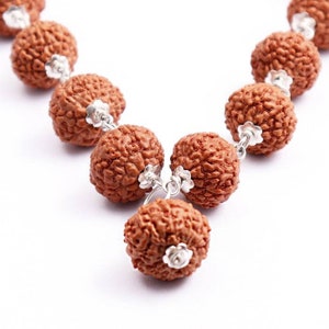 10 Mukhi Indonesian Rudraksha Mala - 32+1 (Pure Silver)