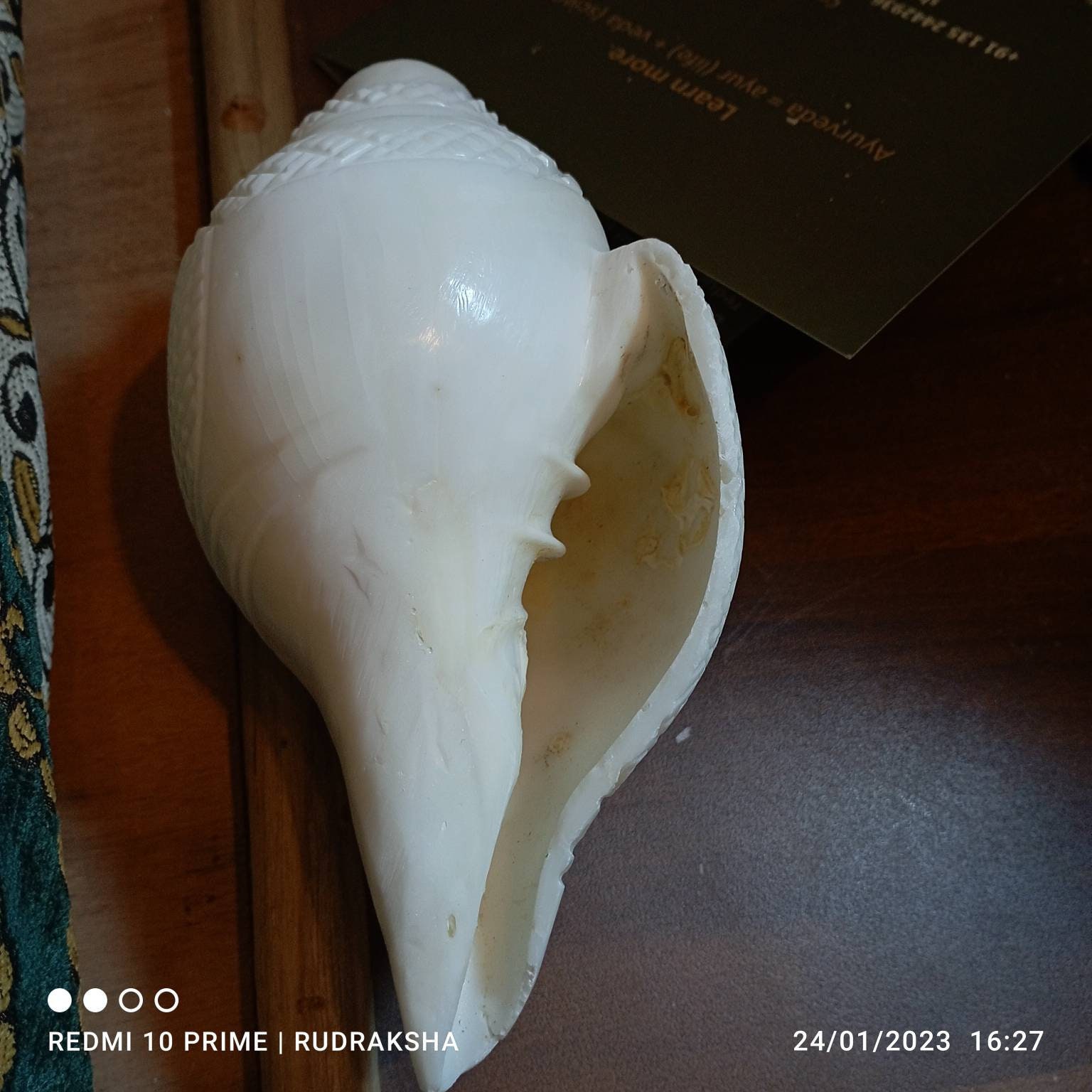 Conch Shell Spiritual Pujablowing Shankh Big Loud,unique Soothing