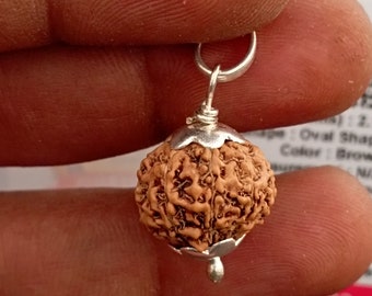 9 Mukhi Rudraksha Nine Face Rudraksh Java Bead Lab Certified 14.MM