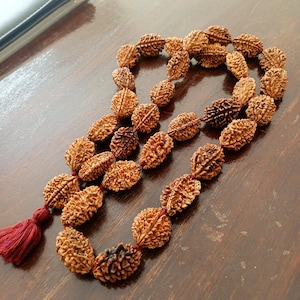 Two Mukhi mala - Lab Certified, 2 Mukhi Rudraksha japa mala, Yoga Gifts, Handmade Armlet, Handmade Jewelry