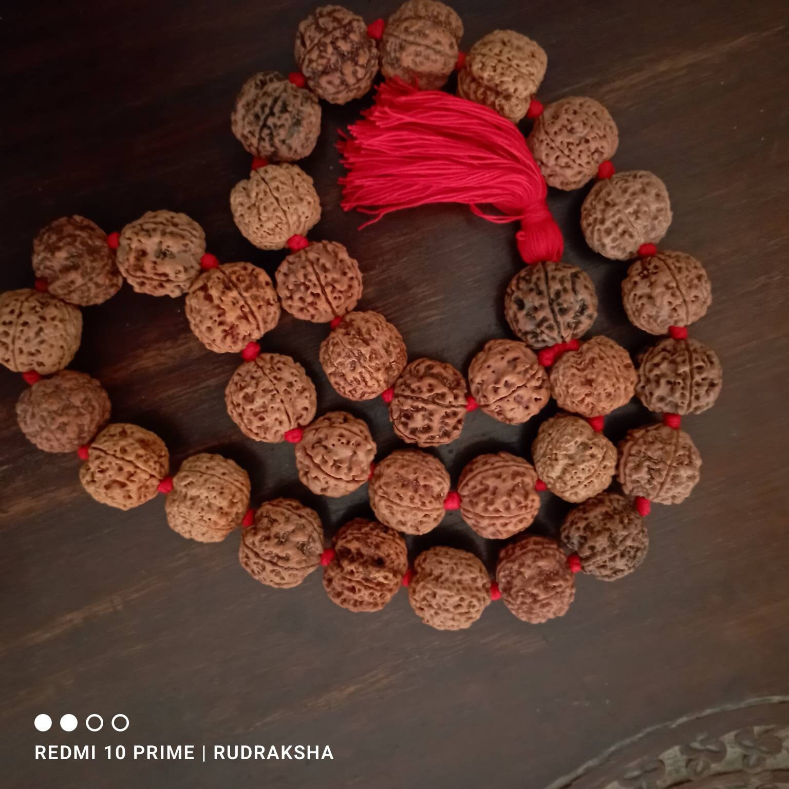 Nepali 5 Mukhi Rudraksha Kantha 33 Beads Mala Necklace, Large Rudraksha Seed Beads, Rudraksha