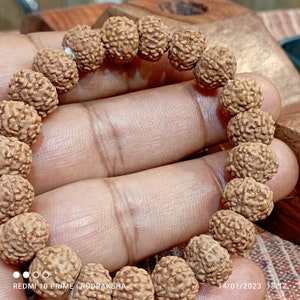 Eight Mukhi Bracelet -Lab Certified, 8 Mukhi Rudraksha Bracelet, Shiva Bracelet, Yoga Bracelet, Eight Faced Rudraksha Bracelet