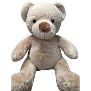 Op de afbeelding: Een lichtbruine teddybeer in zittende positie. De beer heeft een donkerbruine neus en zwarte ogen. Het haar ziet er zacht en pluizig uit, met zichtbare stiksels. Een klassiek speelgoed, populair bij kinderen en volwassenen.