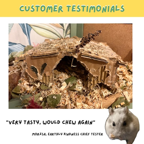 DIY Cardboard Hamster Cabin: Enrichment Hide House Cage Accessory