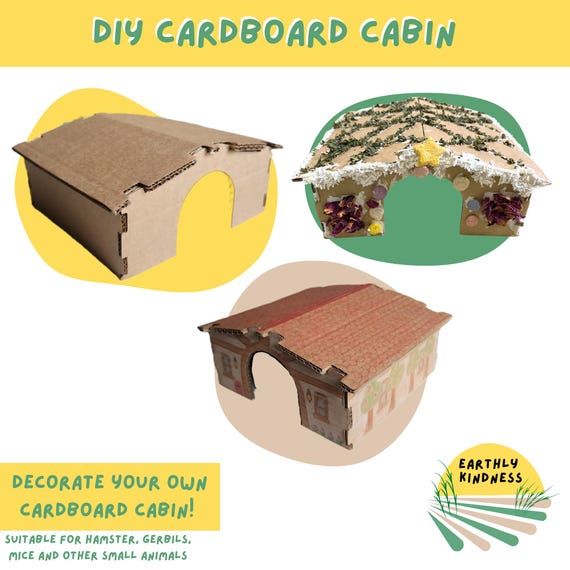 Cardboard Hamster Cabin! Boredom Breaker Enrichment Activity