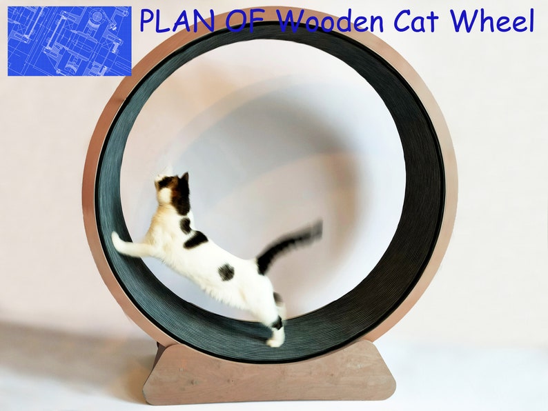 BLUEPRINT / PLAN of: Wooden Cat Wheel 120-140cm / 47-55'' image 1