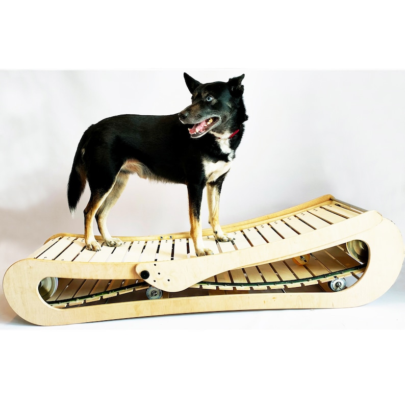 PLANS / BLUEPRINT of Wooden Dog Treadmill 140cm/55'' Etsy