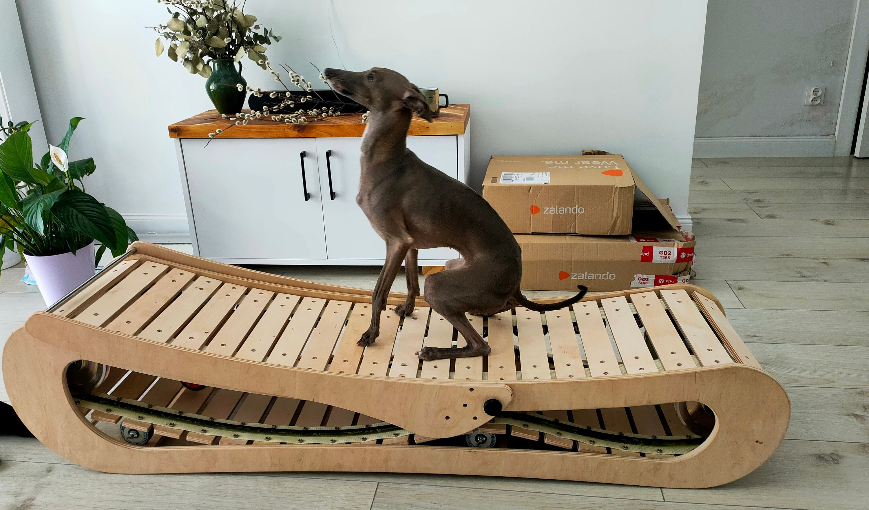 Wooden dog treadmill hotsell