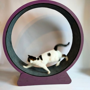 PLAN / PLAN de : Roue pour Chat en Bois 120-140cm / 47-55'' image 2