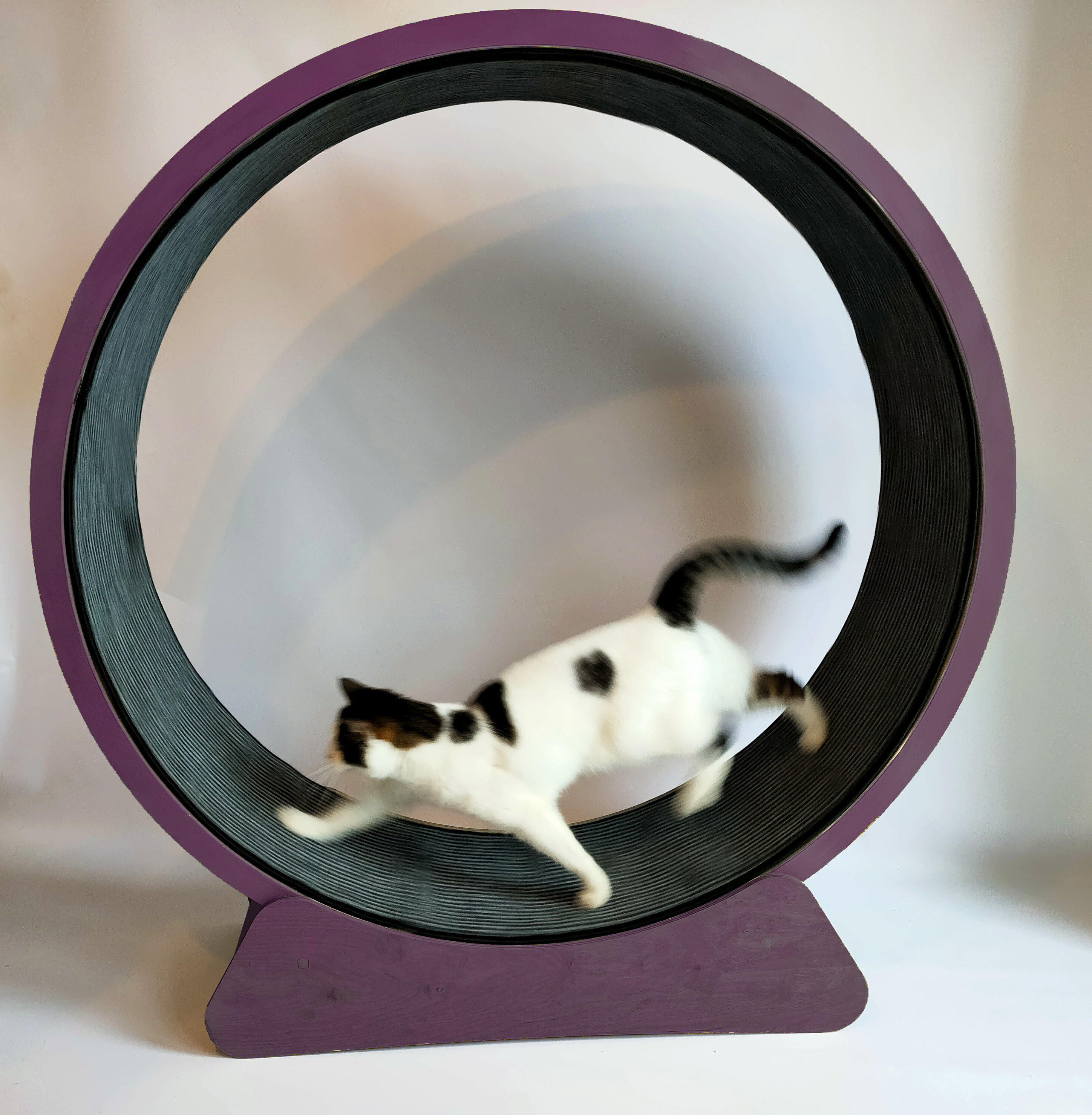 Outdoor cat wheel deals