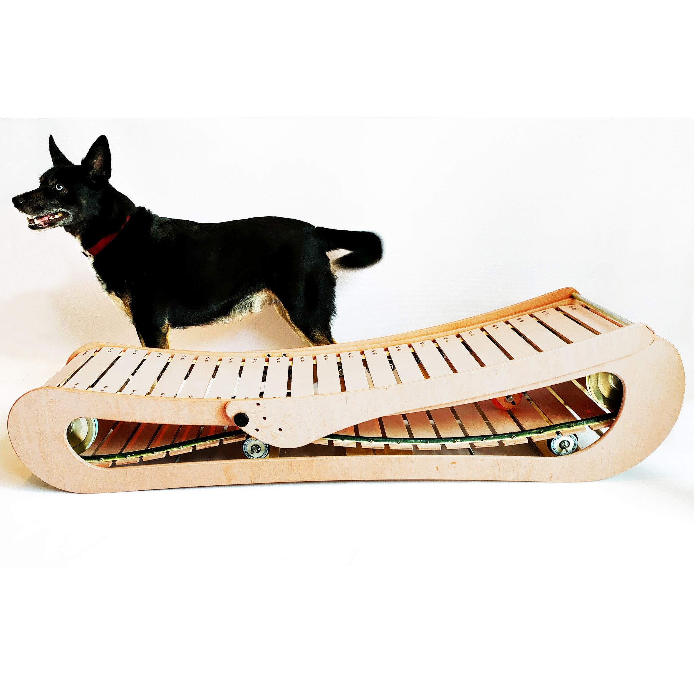 PLANS / BLUEPRINT of Wooden Dog Treadmill 140cm/55'' Etsy