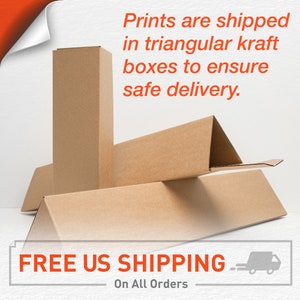 May include: Brown cardboard boxes stacked on a white background. The boxes are triangular shaped and have the text "FREE US SHIPPING - On All Orders" printed on the bottom of the image.