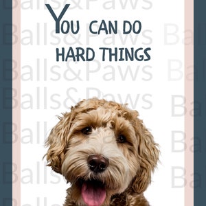 Peut inclure: Un chien brun et blanc avec la langue rose qui sort, regardant la cam&eacute;ra. Le texte "You can do hard things" est &eacute;crit en bleu sur un fond blanc.