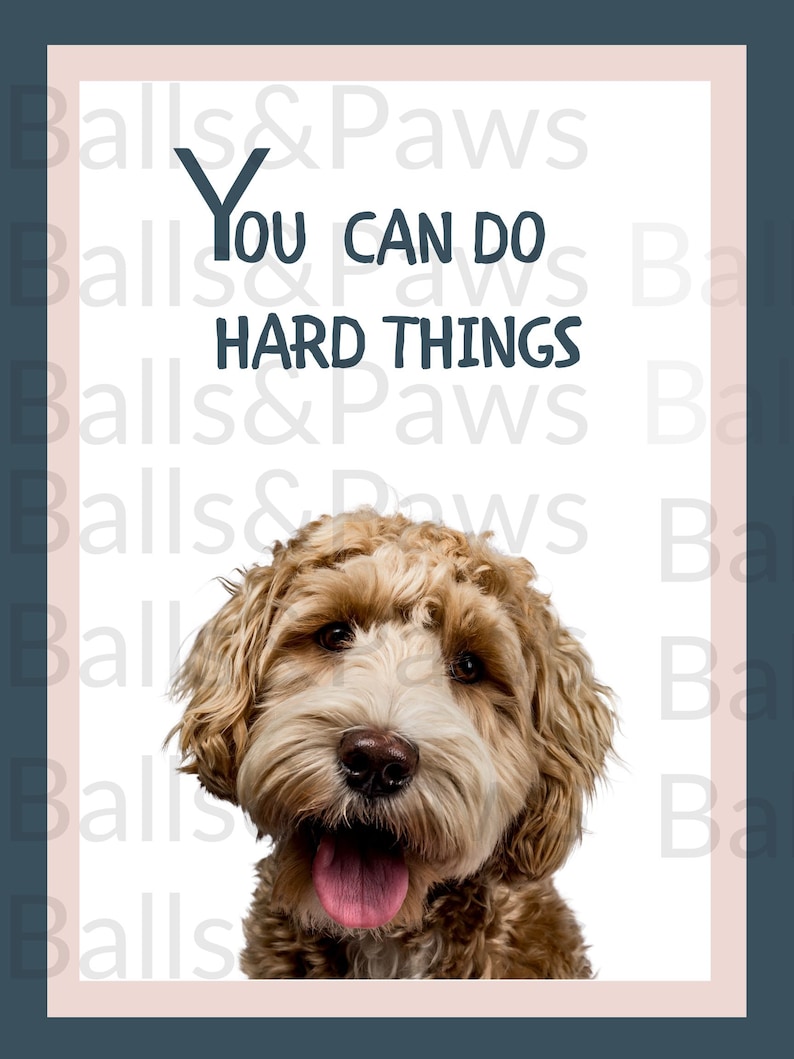 Peut inclure: Un chien brun et blanc avec la langue rose qui sort, regardant la cam&eacute;ra. Le texte "You can do hard things" est &eacute;crit en bleu sur un fond blanc.