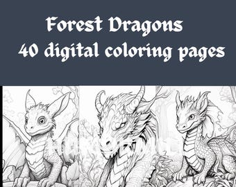Dibujos para colorear de dragones del bosque: 40 ilustraciones fantásticas en escala de grises (PDF imprimible)