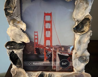 Oyster Shell Picture Frame