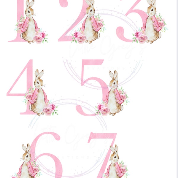 Pink flopsy bunny numbers DIGITAL