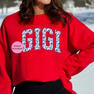 May include: Red sweatshirt with a blue and white patterned "GIGI" graphic on the front.