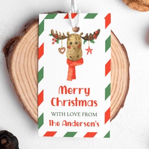 Rentier Geschenkanhänger, niedliches Tier Gunsten Anhänger, Frohe Weihnachten, Dankeschön Anhänger, Urlaub Party, grün rot, Instant Download