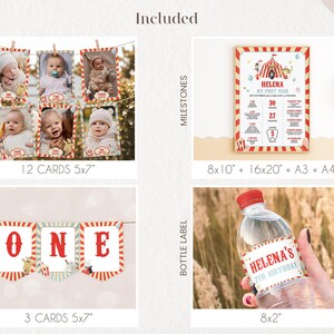 Carnival 1st Birthday Bundle, Circus Birthday Decorations, Kid's Party Birthday Party, Circus Animals, Printable, Instant Download BD18 image 3