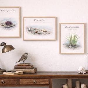 May include: Three framed botanical prints hang on a white wall. The prints feature watercolor illustrations of marine life and plants. A vintage desk with a lamp, bird statue, books, and decorative items sits below the prints.