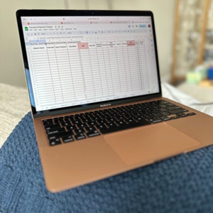 Puede incluir: Un ordenador portátil de color rosa dorado con una hoja de cálculo abierta en la pantalla. La hoja de cálculo se titula "Insurance Payment Tracker" y tiene columnas para la fecha de pago, el tipo de pago, el total pagado y las notas.