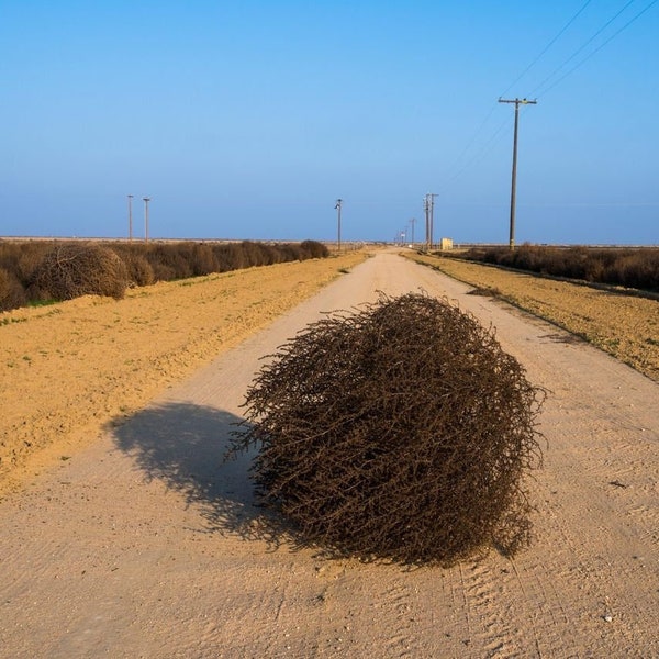 Tumbleweed Jewelry Etsy