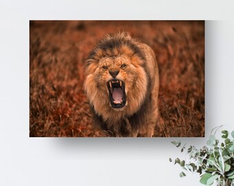 African Lion Metal Wall Art Print, Africa, Wildlife, Home Decor, Fine Art Wall Print, African Wilderness Wall Art