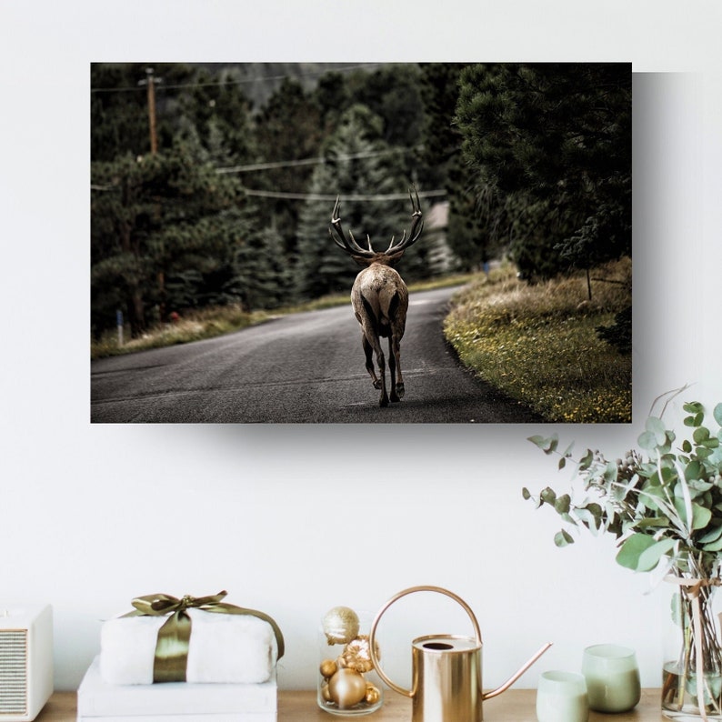 Rocky Mountain Elk Wildlife Metal Wall Art Print, Estes Park, Colorado