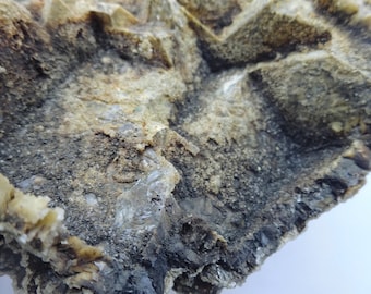 Ejemplar de mineral de fluorita epimorfa, procedente de Alston Moor, Cumbria, Reino Unido. Procedencia: Colección Levers. Principalmente rocas y minerales de Cornualles.