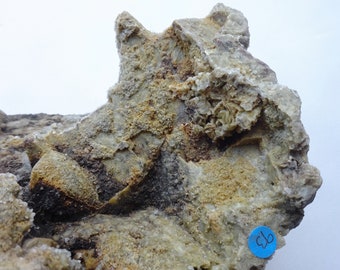 Ejemplar de mineral de fluorita epimorfa, procedente de Alston Moor, Cumbria, Reino Unido. Procedencia: Colección Levers. Principalmente rocas y minerales de Cornualles.